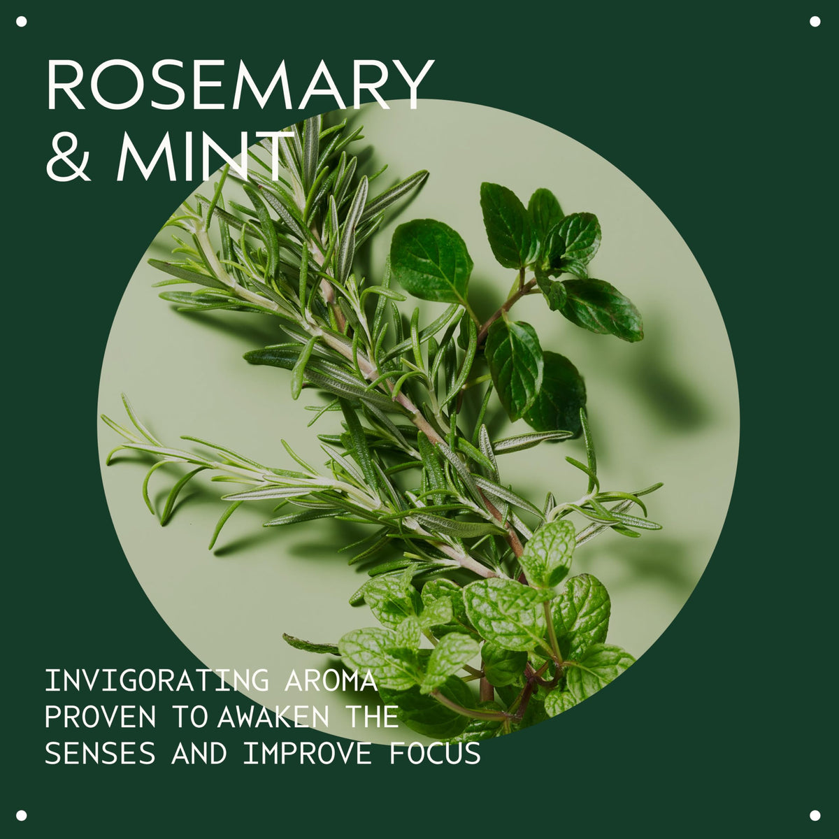 Aveda Rosemary Mint Purifying Shampoo | Clarifying Shampoo | Adds Shine | for Normal to Oily Hair, Fine to Medium Hair Types | 97% Naturally Derived*, 1000ml 🍁 All In One Marketplace Canada