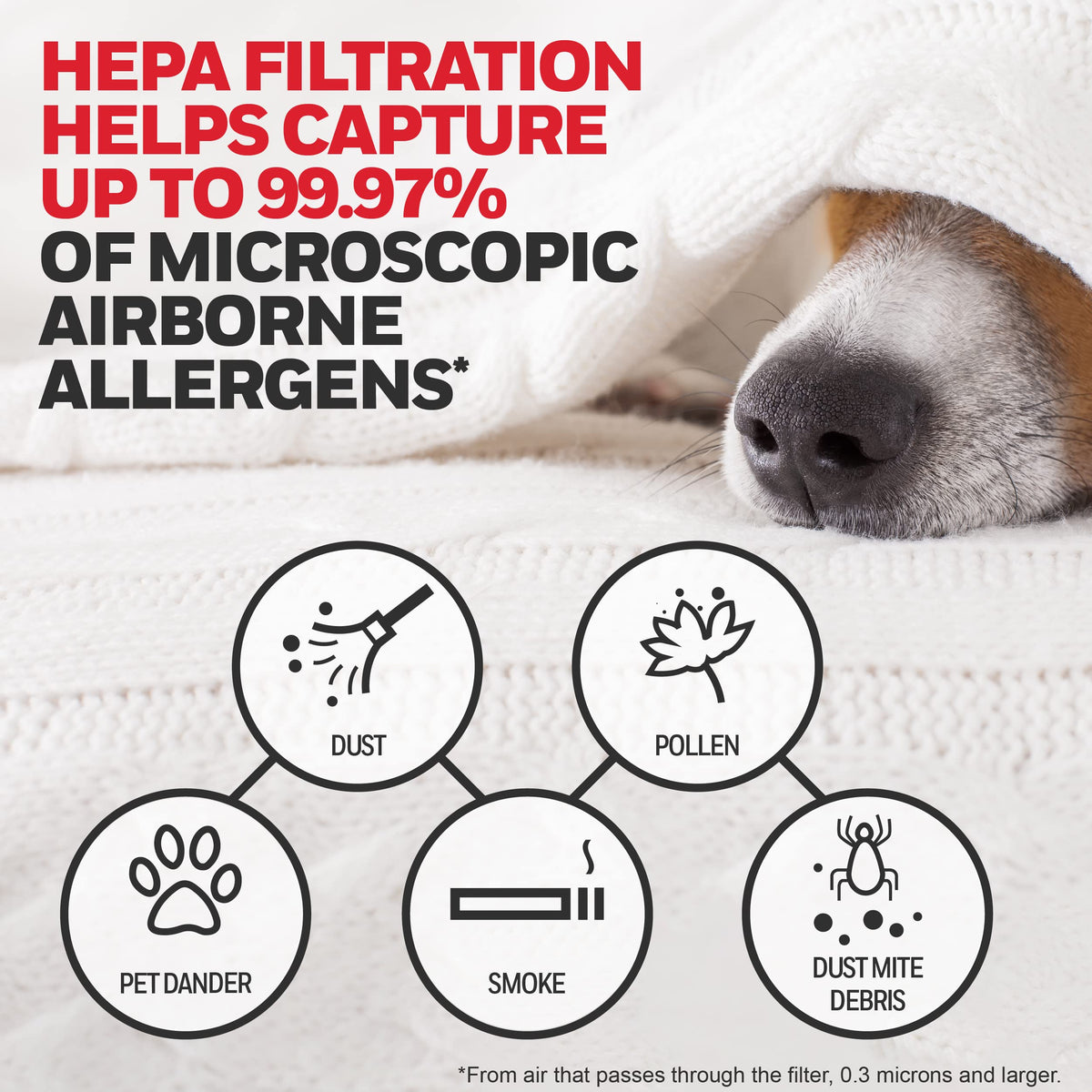 Genuine Honeywell HRF-ARVP100 1-Year Value Filter Kit for Medium Room HPA100 Series HEPA Console Air Purifiers 🍁 All In One Marketplace Canada