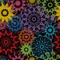 Timeless Treasures - Carnival Stars - 108in Wide Back