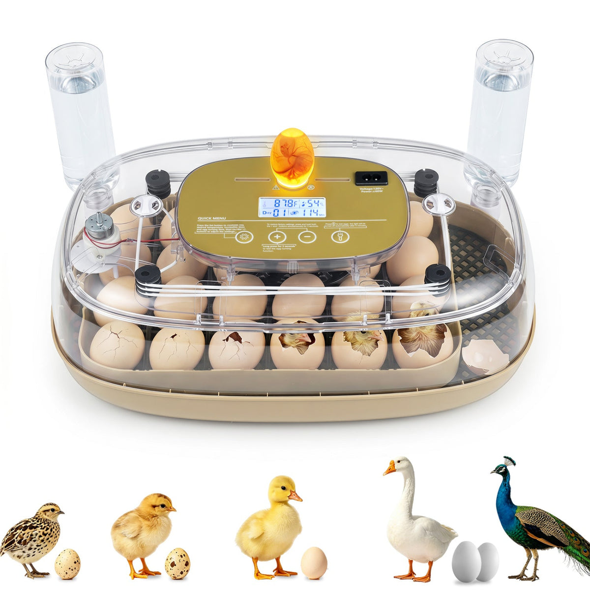 Egg Incubator with Temp and Humidity Control